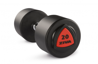 Гантель 36 кг ZIVA серии ZVO уретановое покрытие красная вставка