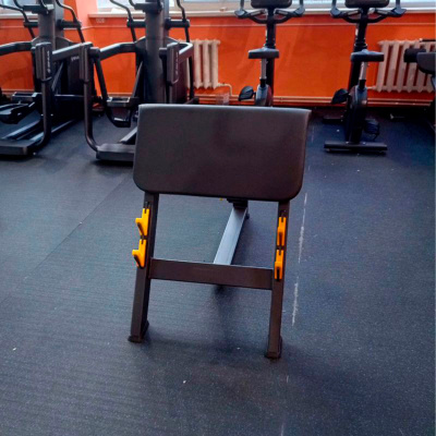 Скамья для бицепса с сиденьем. Скамья Скотта (Seated Preacher Curl)