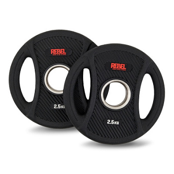Диски олимпийские обрезиненные с двумя хватами 2,5 кг REBEL (пара)
